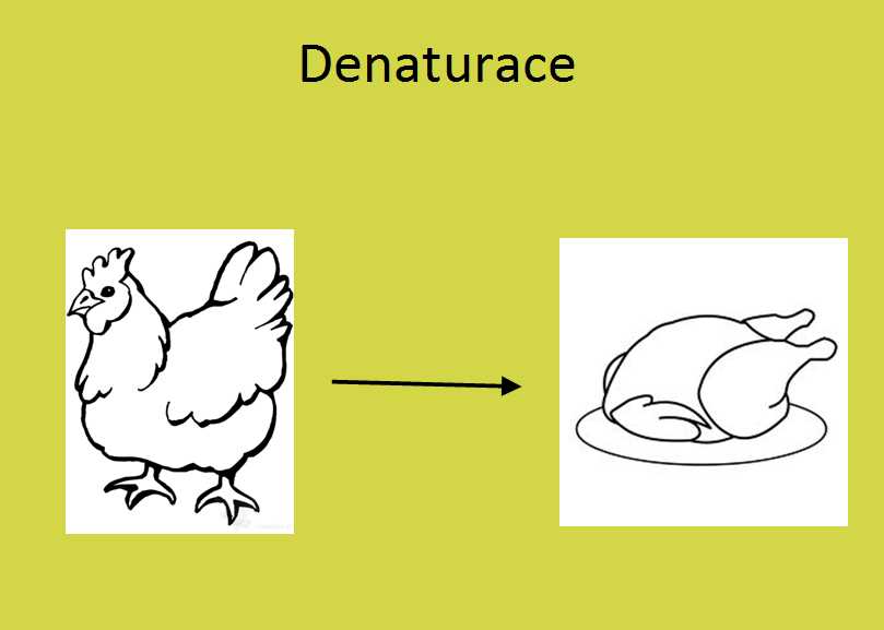 prezentace