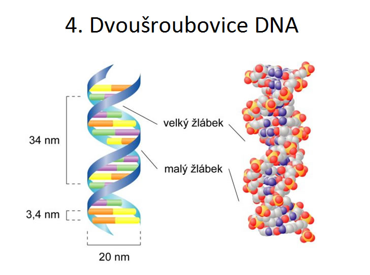 uvodniobr