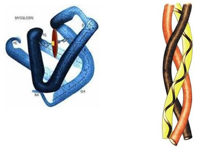 uvoniobr
